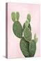 Cactus on Pink V-Mia Jensen-Stretched Canvas