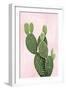 Cactus on Pink V-Mia Jensen-Framed Art Print