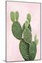 Cactus on Pink V-Mia Jensen-Mounted Art Print