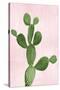 Cactus on Pink VII-Mia Jensen-Stretched Canvas