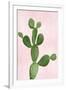 Cactus on Pink VII-Mia Jensen-Framed Art Print