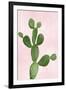 Cactus on Pink VII-Mia Jensen-Framed Art Print