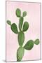 Cactus on Pink VII-Mia Jensen-Mounted Art Print