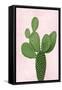 Cactus on Pink VIII-Mia Jensen-Framed Stretched Canvas