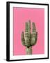 Cactus On Pink-LILA X LOLA-Framed Art Print