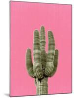 Cactus On Pink-LILA X LOLA-Mounted Art Print