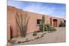 Cactus outside an adobe building, Tucson, Arizona, Usa.-Julien McRoberts-Mounted Photographic Print