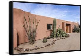 Cactus outside an adobe building, Tucson, Arizona, Usa.-Julien McRoberts-Framed Stretched Canvas