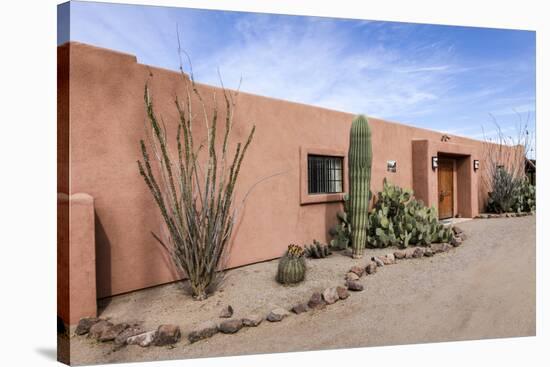 Cactus outside an adobe building, Tucson, Arizona, Usa.-Julien McRoberts-Stretched Canvas