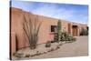 Cactus outside an adobe building, Tucson, Arizona, Usa.-Julien McRoberts-Stretched Canvas