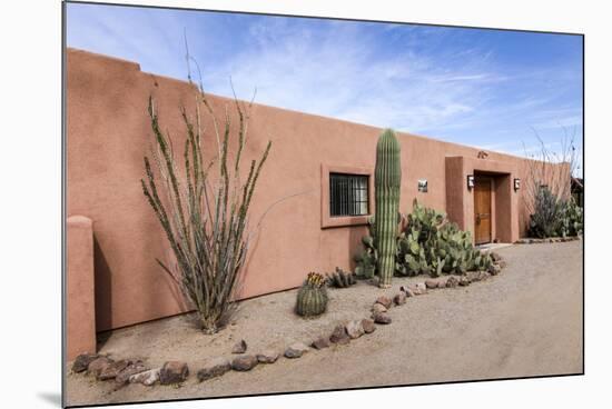 Cactus outside an adobe building, Tucson, Arizona, Usa.-Julien McRoberts-Mounted Premium Photographic Print