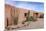 Cactus outside an adobe building, Tucson, Arizona, Usa.-Julien McRoberts-Mounted Premium Photographic Print