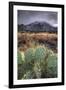 Cactus Overcast-Bob Larson-Framed Art Print