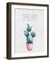 Cactus Pink 1-Kimberly Allen-Framed Art Print