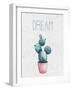 Cactus Pink 1-Kimberly Allen-Framed Art Print