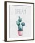 Cactus Pink 1-Kimberly Allen-Framed Art Print