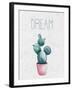 Cactus Pink 1-Kimberly Allen-Framed Art Print