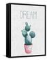 Cactus Pink 1-Kimberly Allen-Framed Stretched Canvas