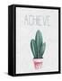 Cactus Pink 3-Kimberly Allen-Framed Stretched Canvas