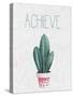 Cactus Pink 3-Kimberly Allen-Stretched Canvas