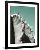 Cactus Pismo-Malcolm Sanders-Framed Giclee Print