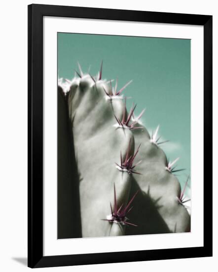 Cactus Pismo-Malcolm Sanders-Framed Giclee Print