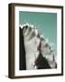 Cactus Pismo-Malcolm Sanders-Framed Giclee Print