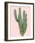 Cactus Plant I-Jensen Adamsen-Framed Art Print