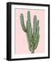 Cactus Plant I-Jensen Adamsen-Framed Art Print