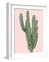 Cactus Plant I-Jensen Adamsen-Framed Art Print