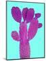Cactus Plant V-Jensen Adamsen-Mounted Art Print