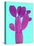 Cactus Plant V-Jensen Adamsen-Stretched Canvas