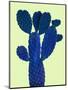 Cactus Plant VI-Jensen Adamsen-Mounted Art Print