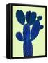 Cactus Plant VI-Jensen Adamsen-Framed Stretched Canvas