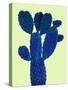 Cactus Plant VI-Jensen Adamsen-Stretched Canvas