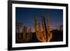 Cactus plants at sunset, outside San Jose del Cabo, Baja California Sur, Mexico-Mark A Johnson-Framed Photographic Print