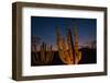 Cactus plants at sunset, outside San Jose del Cabo, Baja California Sur, Mexico-Mark A Johnson-Framed Photographic Print