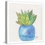 Cactus Pot II-Beverly Dyer-Stretched Canvas