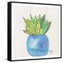 Cactus Pot II-Beverly Dyer-Framed Stretched Canvas