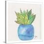 Cactus Pot II-Beverly Dyer-Stretched Canvas