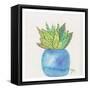 Cactus Pot II-Beverly Dyer-Framed Stretched Canvas