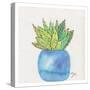 Cactus Pot II-Beverly Dyer-Stretched Canvas