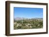 Cactus Quebrada De Humahuaca in Jujuy, Argentina.-Anibal Trejo-Framed Photographic Print