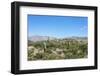 Cactus Quebrada De Humahuaca in Jujuy, Argentina.-Anibal Trejo-Framed Photographic Print