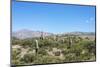 Cactus Quebrada De Humahuaca in Jujuy, Argentina.-Anibal Trejo-Mounted Photographic Print