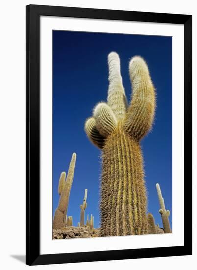 Cactus – Salar De Uyuni-chrishowey-Framed Photographic Print