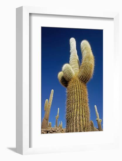 Cactus – Salar De Uyuni-chrishowey-Framed Photographic Print