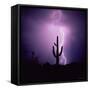 Cactus Silhouetted Against Lightning, Tucson, Arizona, USA-Tony Gervis-Framed Stretched Canvas