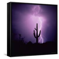 Cactus Silhouetted Against Lightning, Tucson, Arizona, USA-Tony Gervis-Framed Stretched Canvas