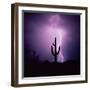 Cactus Silhouetted Against Lightning, Tucson, Arizona, USA-Tony Gervis-Framed Premium Photographic Print